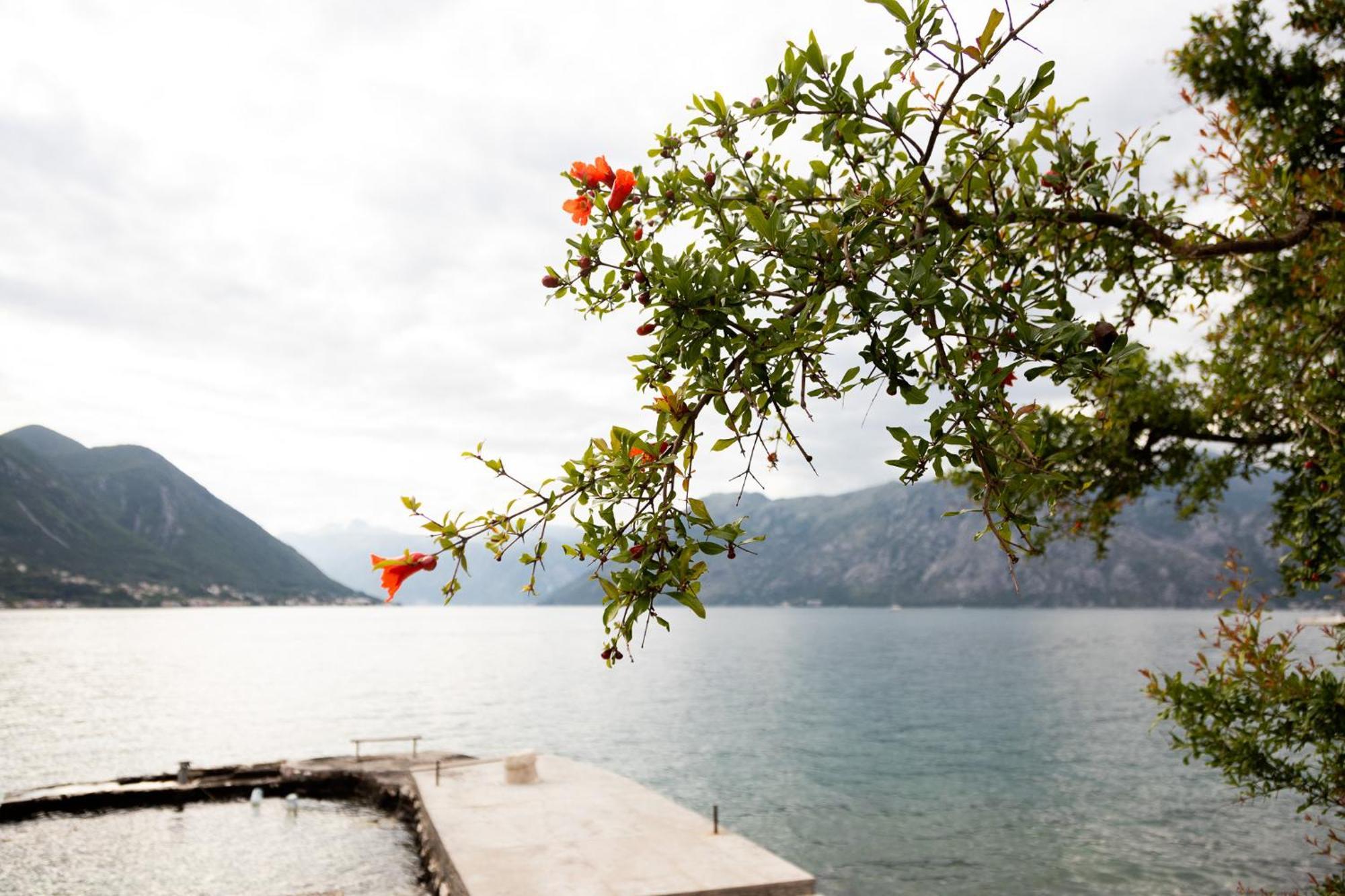 Apartments Djurovic Kotor Exterior foto